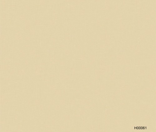 H00061 Decorative paper& Melamine paper with printed design