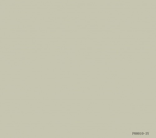 P00010Y Decorative paper& Melamine paper with printed design