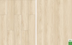 1248 Wilcox Oak｜Wood Grain Vinyl Flooring Film