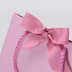 FANXI factory jewelry bag_jewelry gi