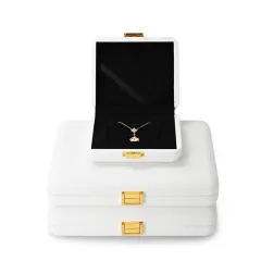 FANXI luxury jewelry travel case