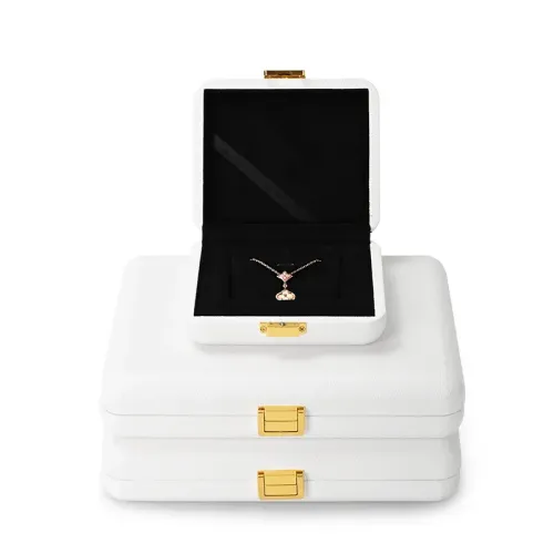 FANXI luxury jewelry travel case