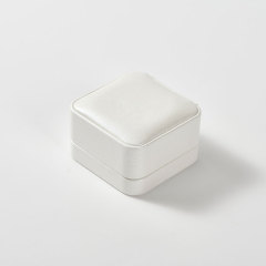 FANXI Custom Green leather Pendant box