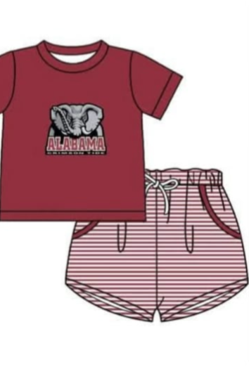 Custom  (moq 5)Baby Boys  Shorts Team Clothes Sets