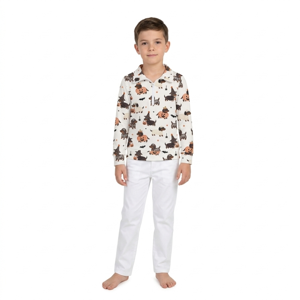 BT1896 Baby boy Pumpkin bat  fall Leaves Top long sleeve Halloween pullover