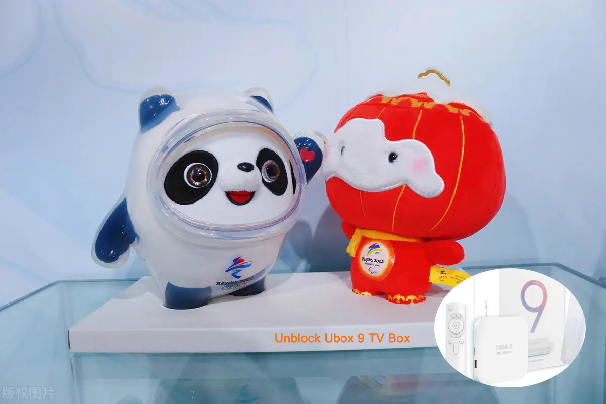Die Maskottchen der Olympischen und Paralympischen Winterspiele 2022 in Peking sind „Bing Dun Dun“ und „Xue Rong Rong“.