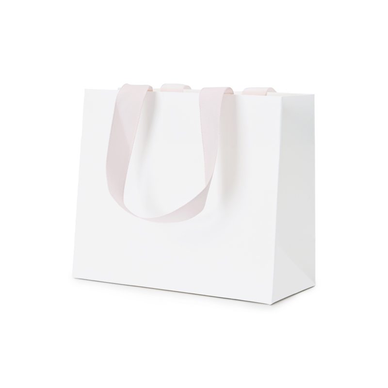 High Quality Custom Logo Jewelry Bag For Counter Shopping Bag With Handle Coated Paper Bag