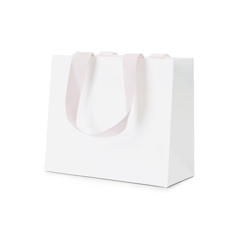 High Quality Custom Logo Jewelry Bag For Counter Shopping Bag With Handle Coated Paper Bag