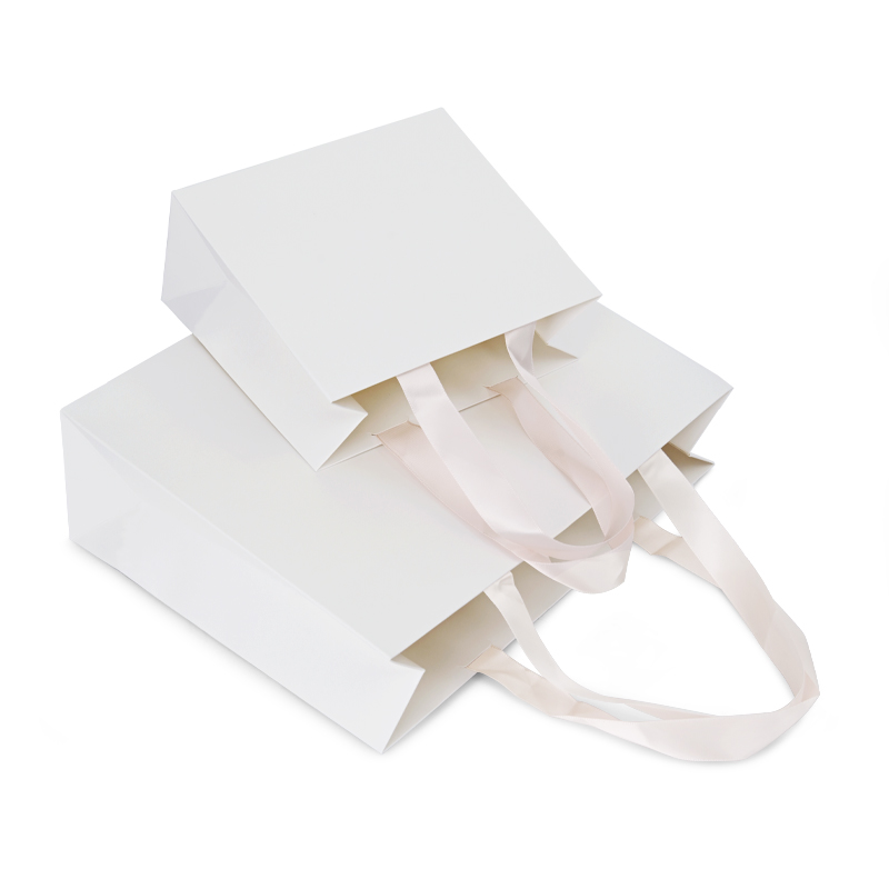 High Quality Custom Logo Jewelry Bag For Counter Shopping Bag With Handle Coated Paper Bag