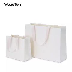 High Quality Custom Logo Jewelry Bag For Counter Shopping Bag With Handle Coated Paper Bag