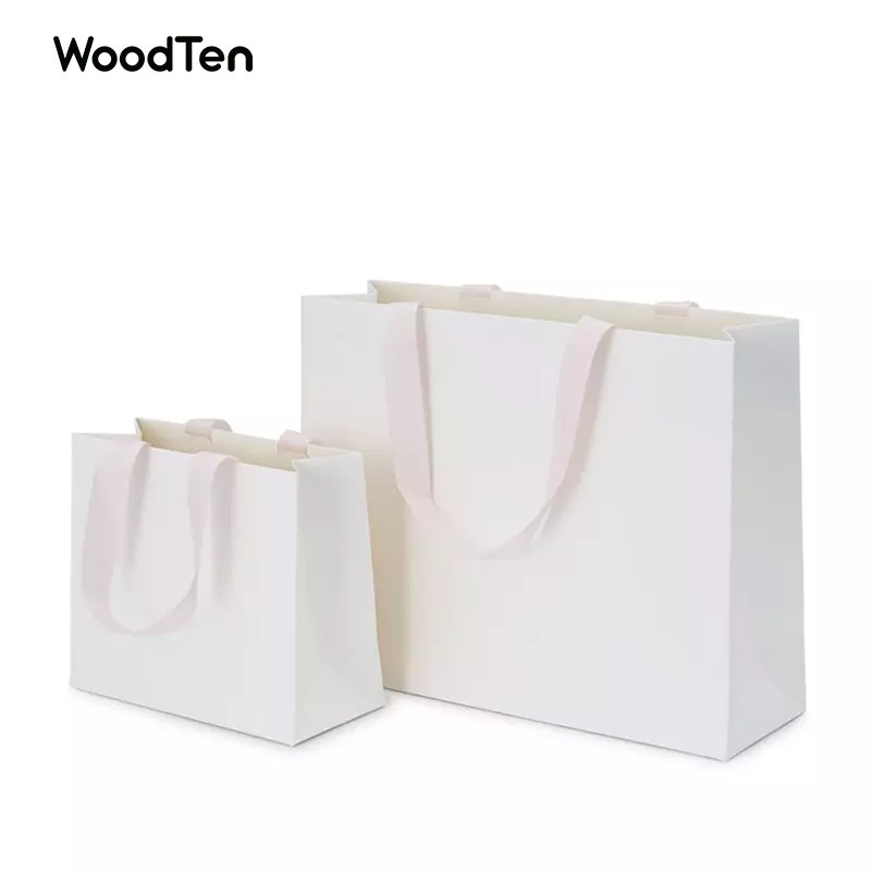 High Quality Custom Logo Jewelry Bag For Counter Shopping Bag With Handle Coated Paper Bag