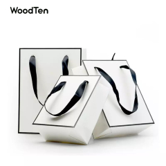 Factory NEW Custom Logo Color Printing Jewelry Gift Packaging Bags with Silk Handle Recycle Shopping Printed Paper Bag