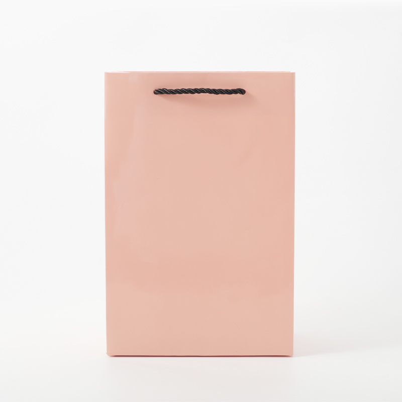 Pink Luxury Jewelry Packaging Gift Shopping Paper Bags with Logo Custom