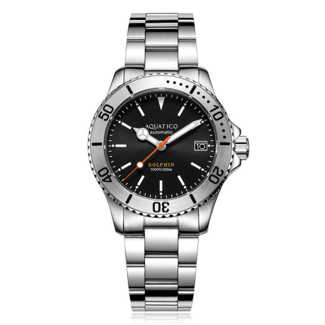 Aquatico Dolphin 39mm Automatic Dive watch Black Dial (NH35)