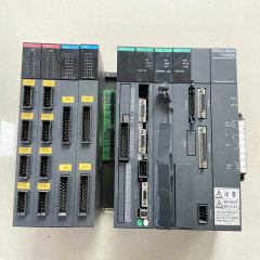 V21 cpu system