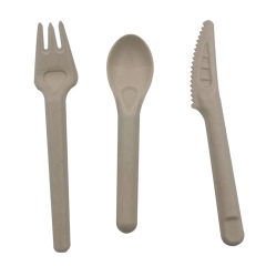 Biodegradable Sugarcane Bagasse Paper Cutlery