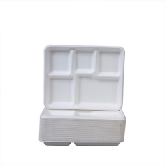 Airline Biodegradable Sugarcane Bagasse Tray