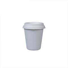 Airline Biodegradable Sugarcane Bagasse Cup