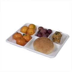 Airline Biodegradable Sugarcane Bagasse Tray