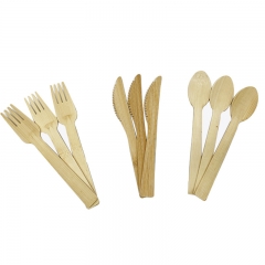 Biodegradable Bamboo Cutlery