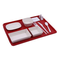 Airline Biodegradable PLA Tableware Set
