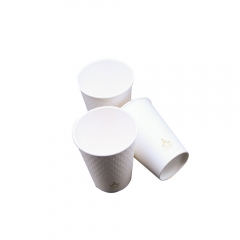 Eco Friendly Biodegradable Coffee Paper Cup with Lid (Plastic Free)