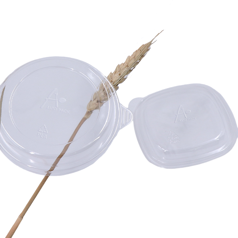 Disposable Lid
