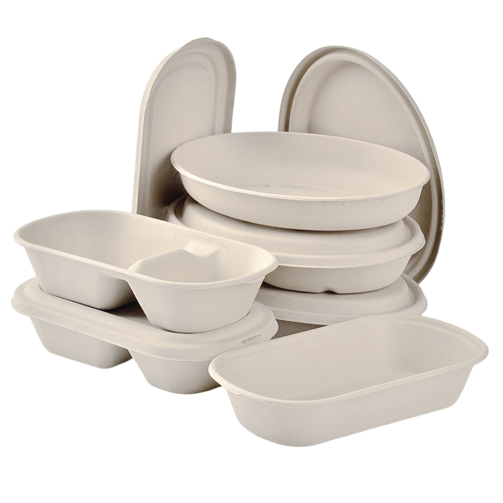 玉米淀粉食品容器