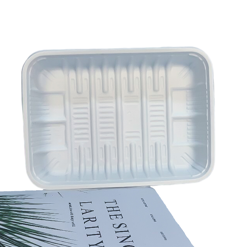 Disposable Tray