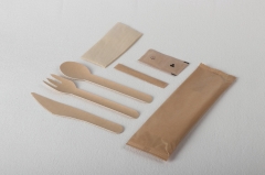 Biodegradable Sugarcane Bagasse Paper Cutlery