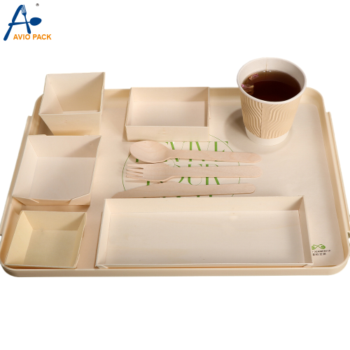 Disposable Biodegradable Eco Friendly Wooden Paper Dinnerware