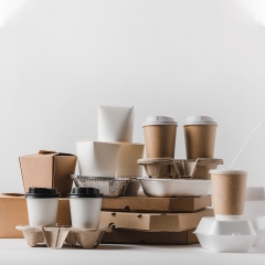 Biodegradable Disposable Paper Cup