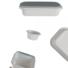 Airline Biodegradable Sugarcane Bagasse Casserole