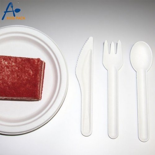 Biodegradable Sugarcane Bagasse Paper Cutlery