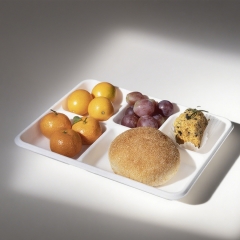 Airline Biodegradable Sugarcane Bagasse Tray