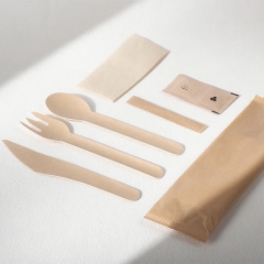 Biodegradable Sugarcane Bagasse Paper Cutlery
