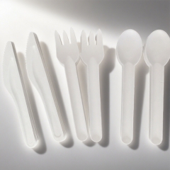 Biodegradable Sugarcane Bagasse Paper Cutlery