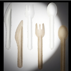 Biodegradable Sugarcane Bagasse Paper Cutlery
