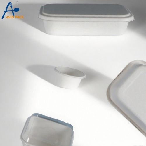 Airline Biodegradable Sugarcane Bagasse Casserole
