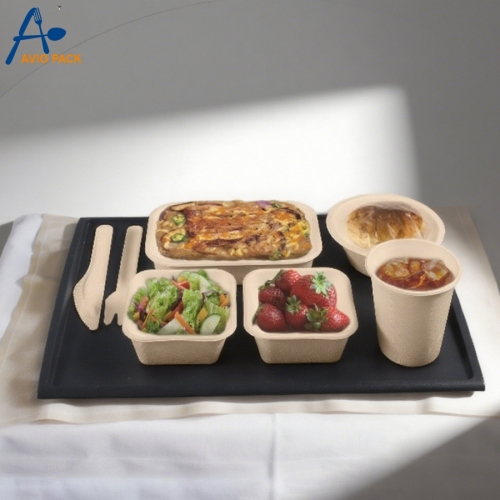 Airline Biodegradable Sugarcane Bagasse Casserole