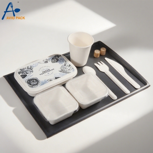 Airline Biodegradable Sugarcane Bagasse Casserole