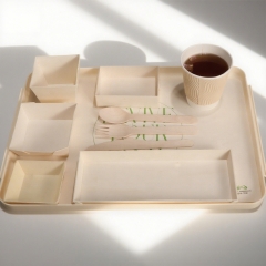Disposable Biodegradable Eco Friendly Wooden Paper Dinnerware