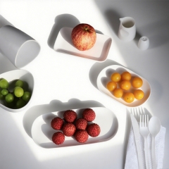 Airline Reusable Sustainable China Plates Ceramic Dinnerware