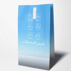 Airline Customized Printed Paper Airsickness Bag