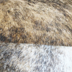 Brindel cowhides with hairon