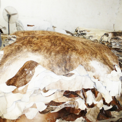 Brindel cowhides with hairon