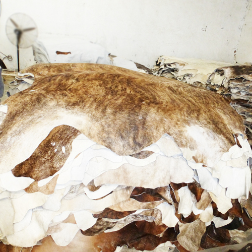 Brindel cowhides with hairon