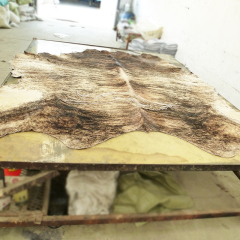 Brindel cowhides with hairon