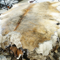 Brindel cowhides with hairon