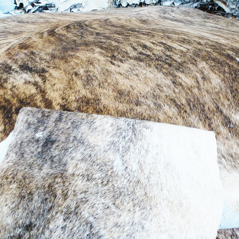 Brindel cowhides with hairon
